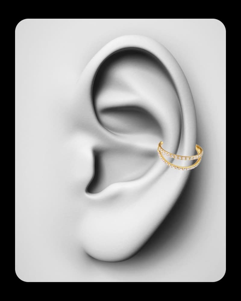 Conch