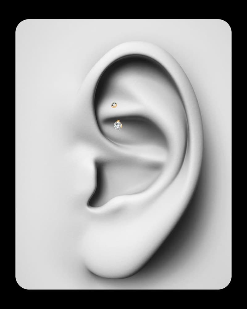 Rook