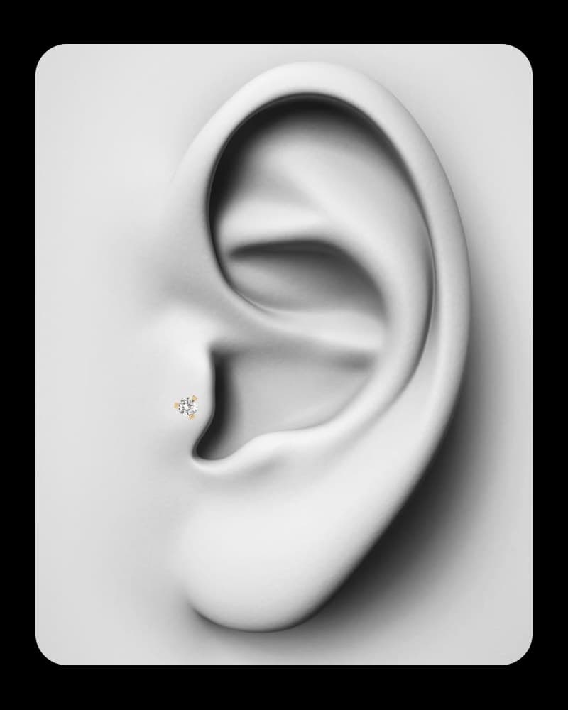 Tragus