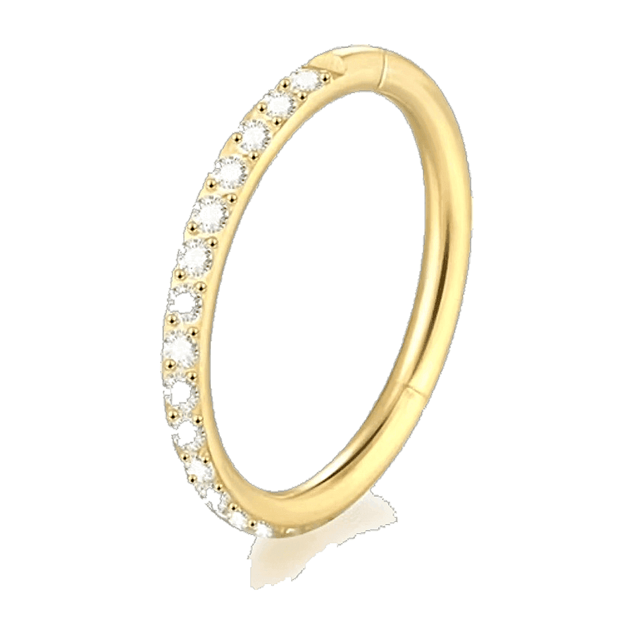 Argola Eternity com Zircônias (2) - Ouro
